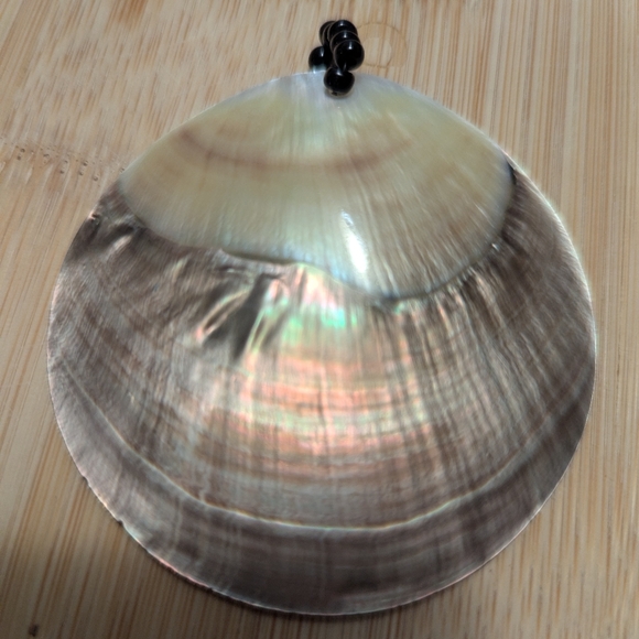 Jewelry - Mother Of Pearl Shell Pendant